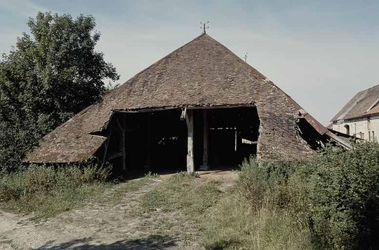 Halle, croupe antérieure.