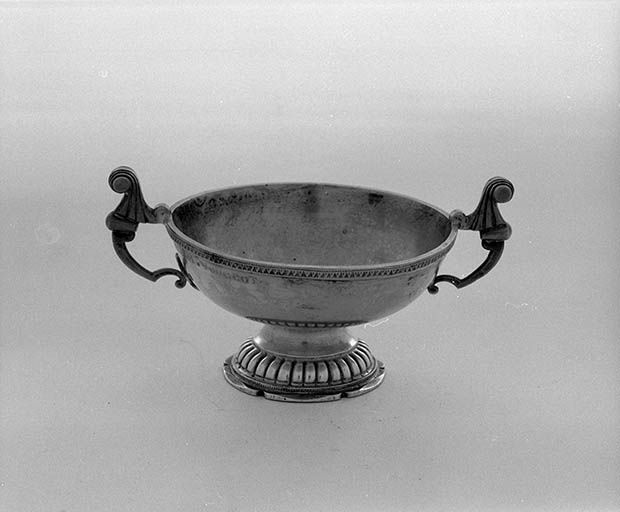 Vue d'une coupe.