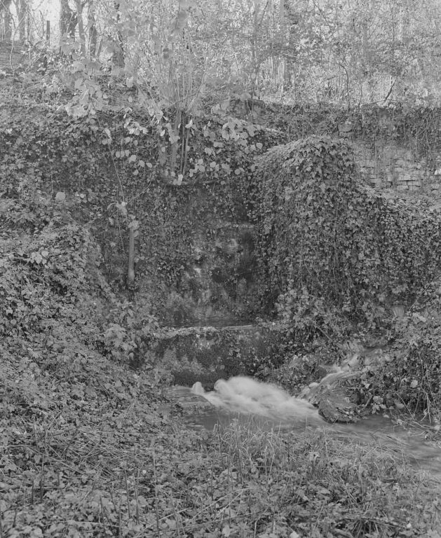 La fontaine