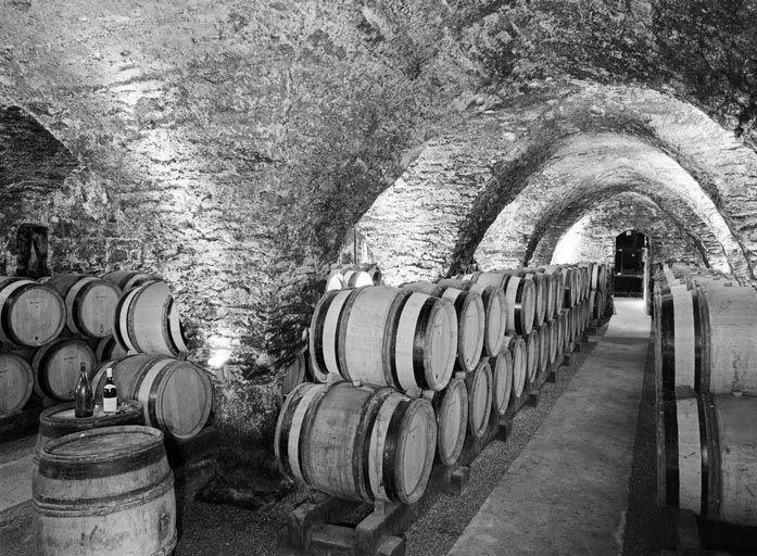 Bâtiment sud : cave, vue d'ensemble depuis l'entrée