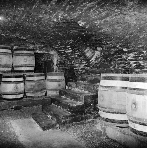 Bâtiment nord : cave, partie est, escalier de l'entrée