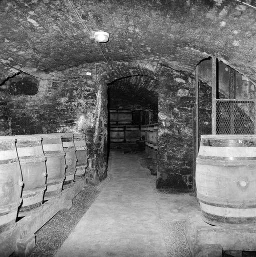 Bâtiment nord : cave, partie ouest, vue côté est