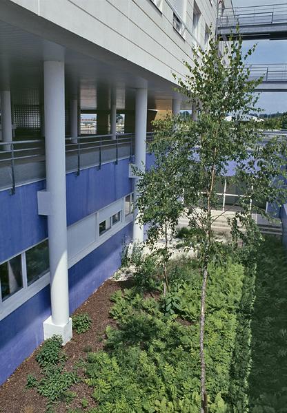 Aile gauche, patio et jardin.