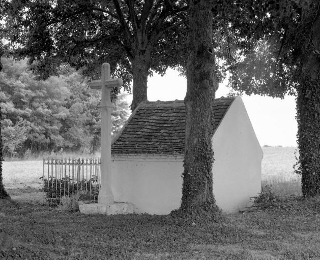 Vue de trois-quart, côté postérieur.