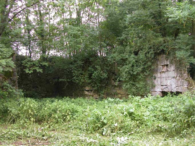 Vue des ruines de l'ancien bief et des contreforts servant à soutenir les roues hydrauliques. Des canaux d'amené de l'eau sont creusés dans les murs.