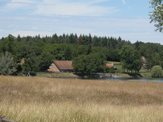 Vue générale du site.