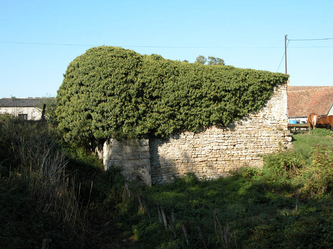 Ruines du massif de la roue hydraulique.
