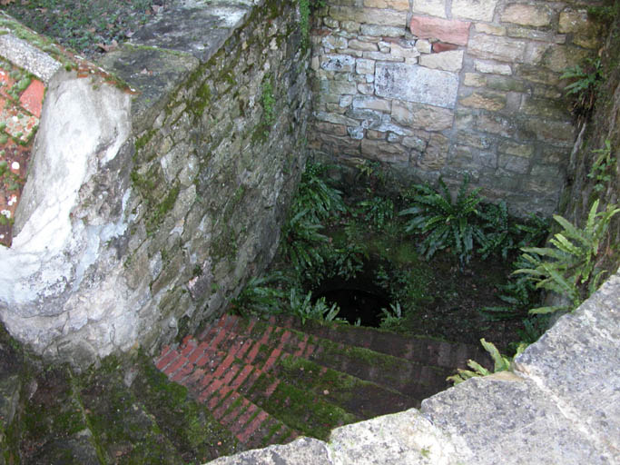 Vue de l'escalier vers le sous-sol actuellement comblé.