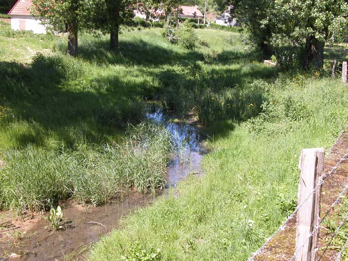 Vue de la rivière actuelle.