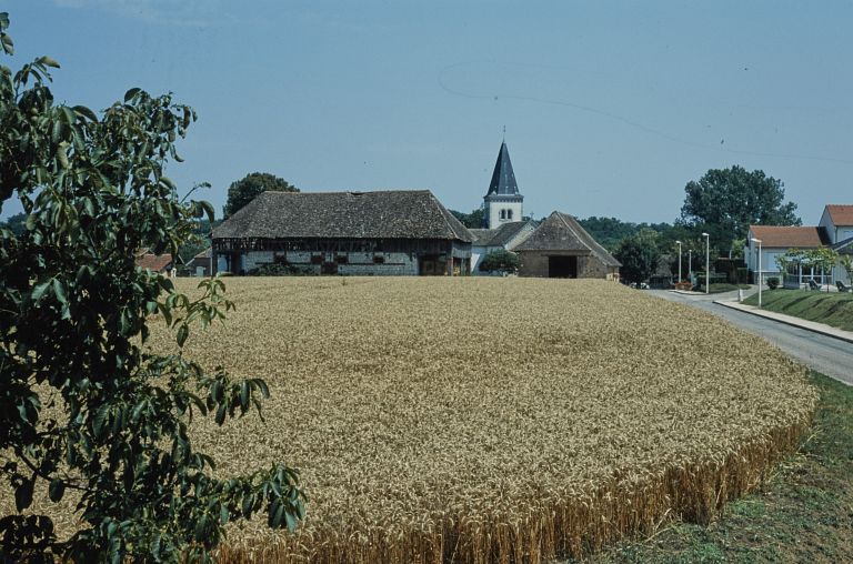 Site