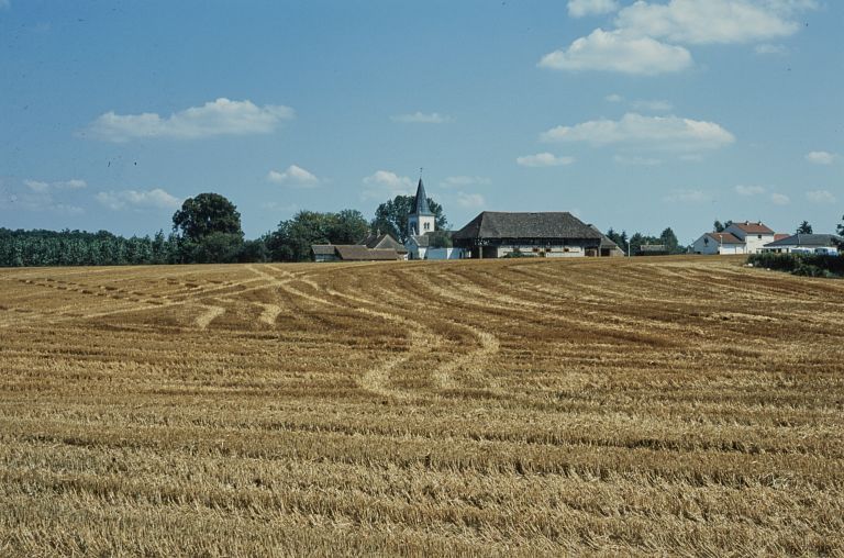 Site