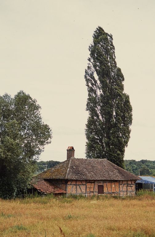 Elévations postérieures.