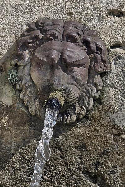 Fontaine, détail.