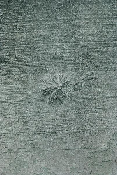 Détail.