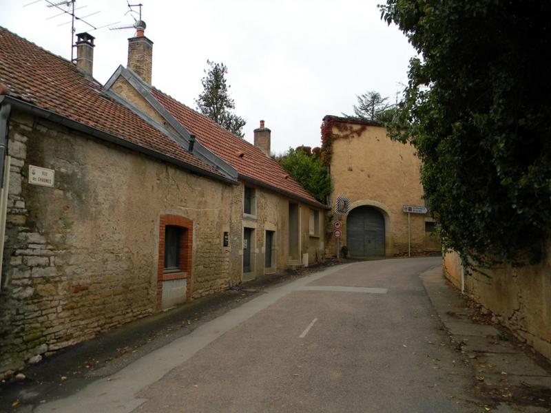 Cellier ; domaine comte Senard