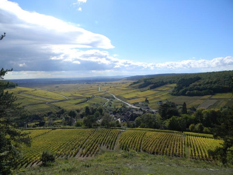 Vue vers le sud (Sur Frétille).