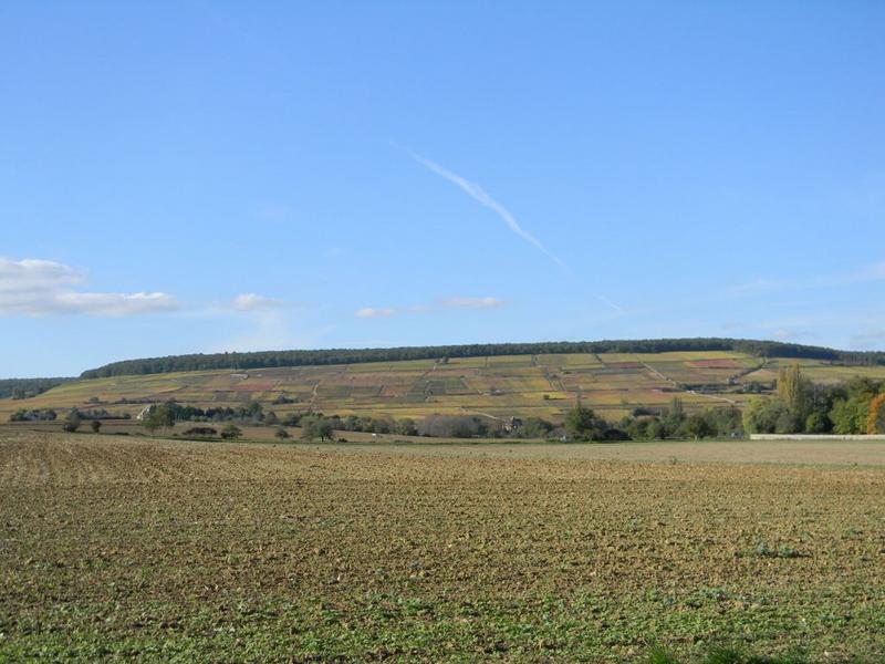 Vue de la montagne de Corton.