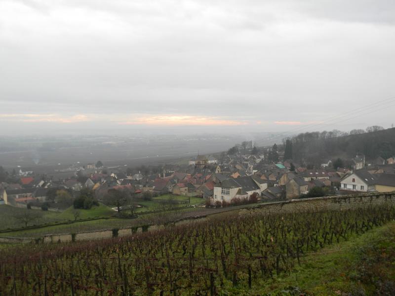 Vue de Volnay (chemin de Vaut).