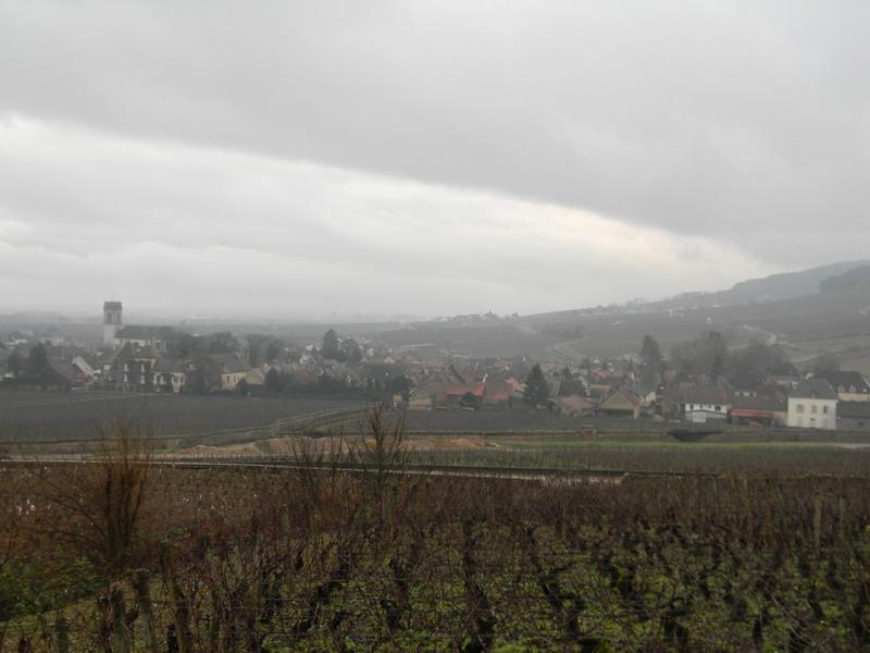 Vue depuis les vignes au nord-ouest (chemin rural dit des Petits Charmots).