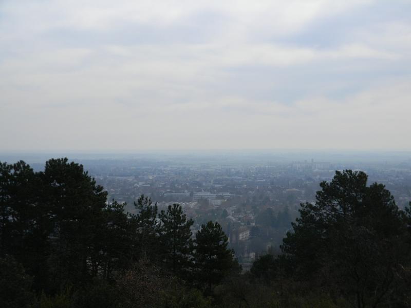 Vue de la ville depuis la Montagne.