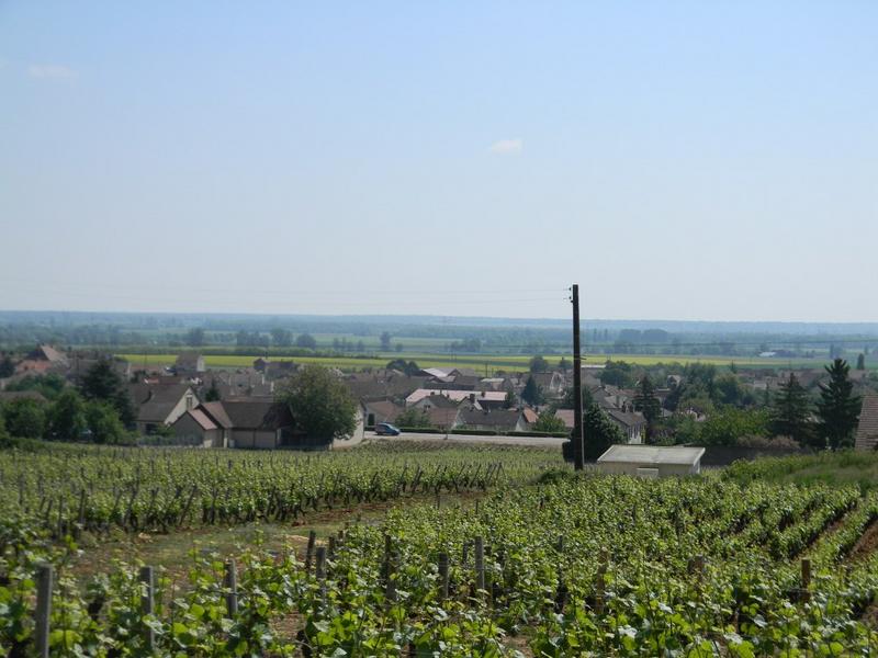 Vue vers l'est depuis le chemin des Essarts.