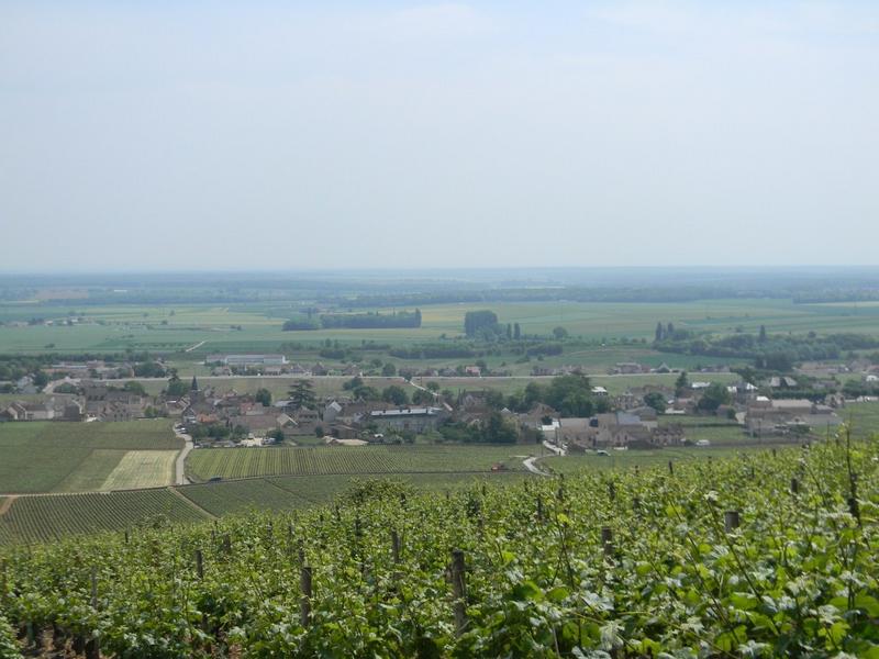 Vue depuis l'ouest de Vosne-Romanée.