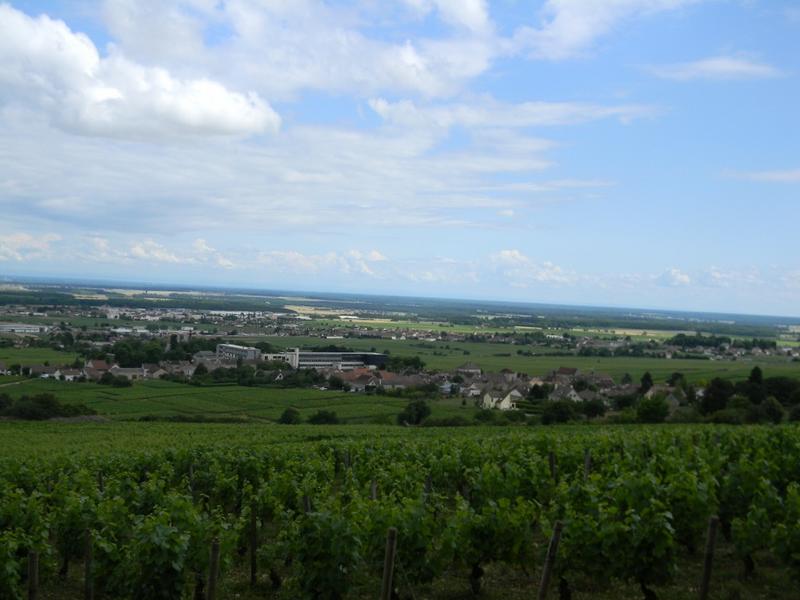 Vue depuis le nord-ouest (CVO n°4 dit de la Montagne).