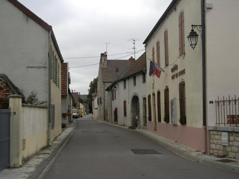 Vue vers l'ouest (avenue du recteur Marcel Bouchard).