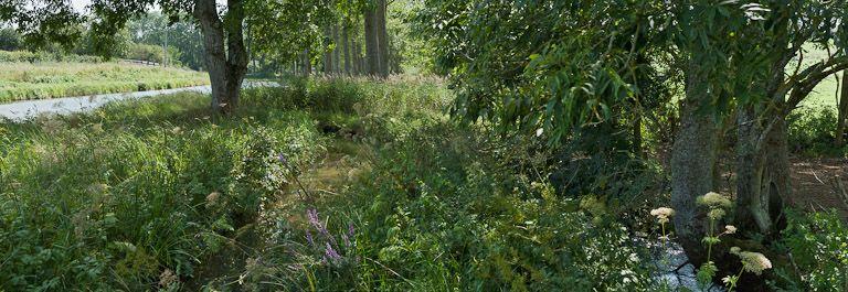 La rigole longeant le canal.