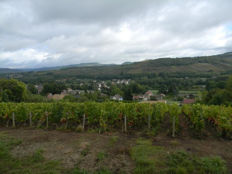 Vue vers le nord (chemin de desserte au sud du hameau de Cocelle).