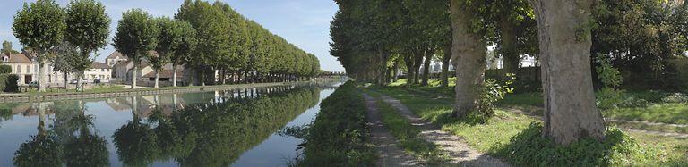 Alignement de platanes à l'arrivée du canal à la dernière écluse avant l'Yonne.