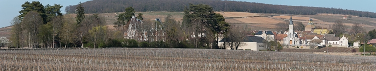 L'église paroissiale Saint-Médard d'Aloxe-Corton et le village.
