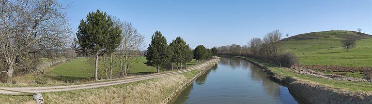 Alignement de pins le long du canal.