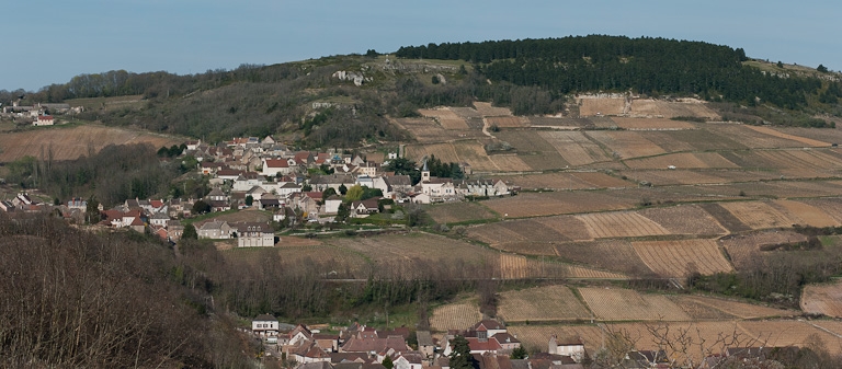 L'église Saint-Martin de Dezize-lès-Maranges, dans son site paysager.