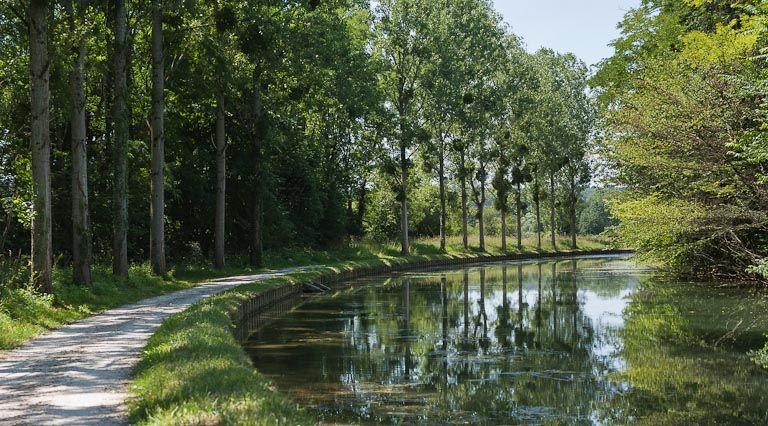 Chemin de halage et alignement d'arbres le long du bief 75.