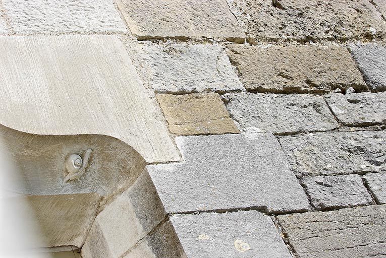 Fenêtre du mur sud surmontée d'une accolade sculptée d'un escargot : détail du gastéropode.
