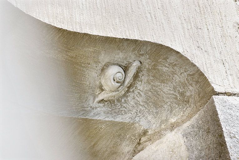 Fenêtre du mur sud surmontée d'une accolade sculptée d'un escargot : détail du gastéropode.