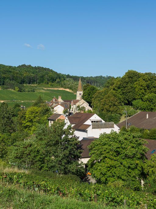 Vue générale de l'église et du village de Pernand-Vergelesses.