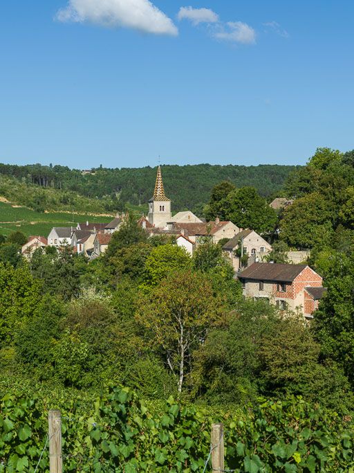 Vue générale de l'église et du village.