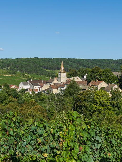 Vue générale de l'église et du village.