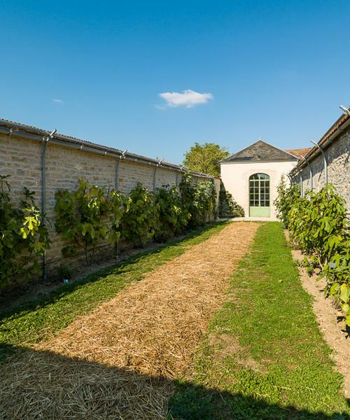 Chambre de chaleur avec en arrière-plan l'orangerie.