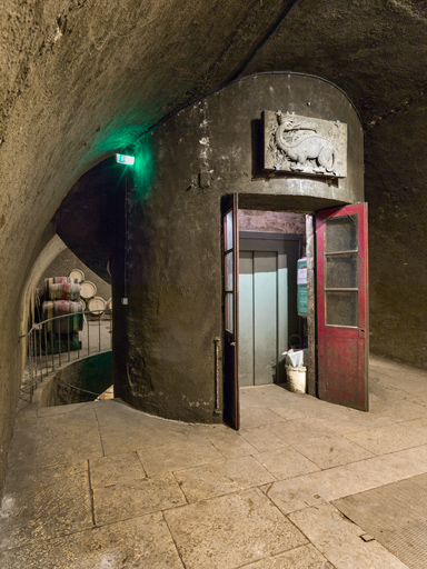 Caves, second niveau : salamandre couronnée.