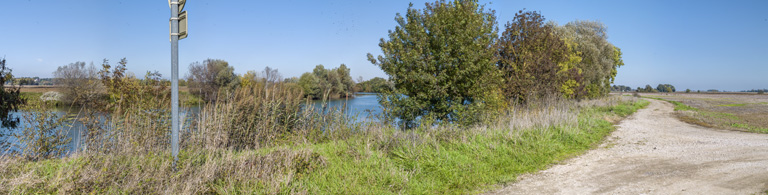 Paysage de la Saône à Auvillars-sur-Saône (21).