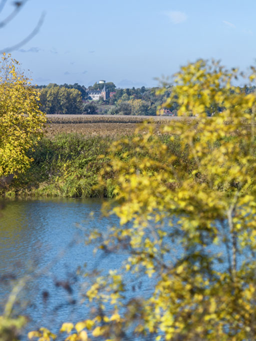 La Saône à la hauteur d'Auvillars-sur-Saône (21), percée sur le château (IA00070856).