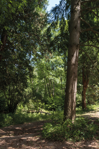 Bosquet, bassin et petit pont.