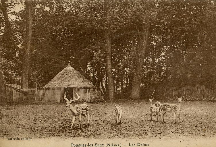 Parc des daims.