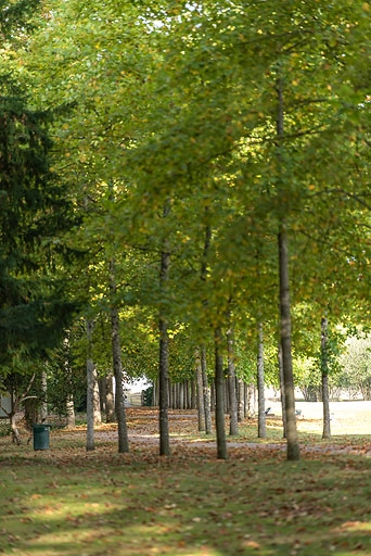 Allée des soupirs.
