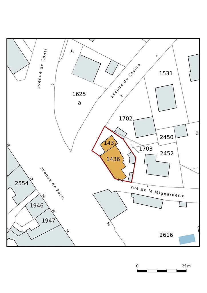 Plan-masse et de situation, extrait du plan cadastral (2021).