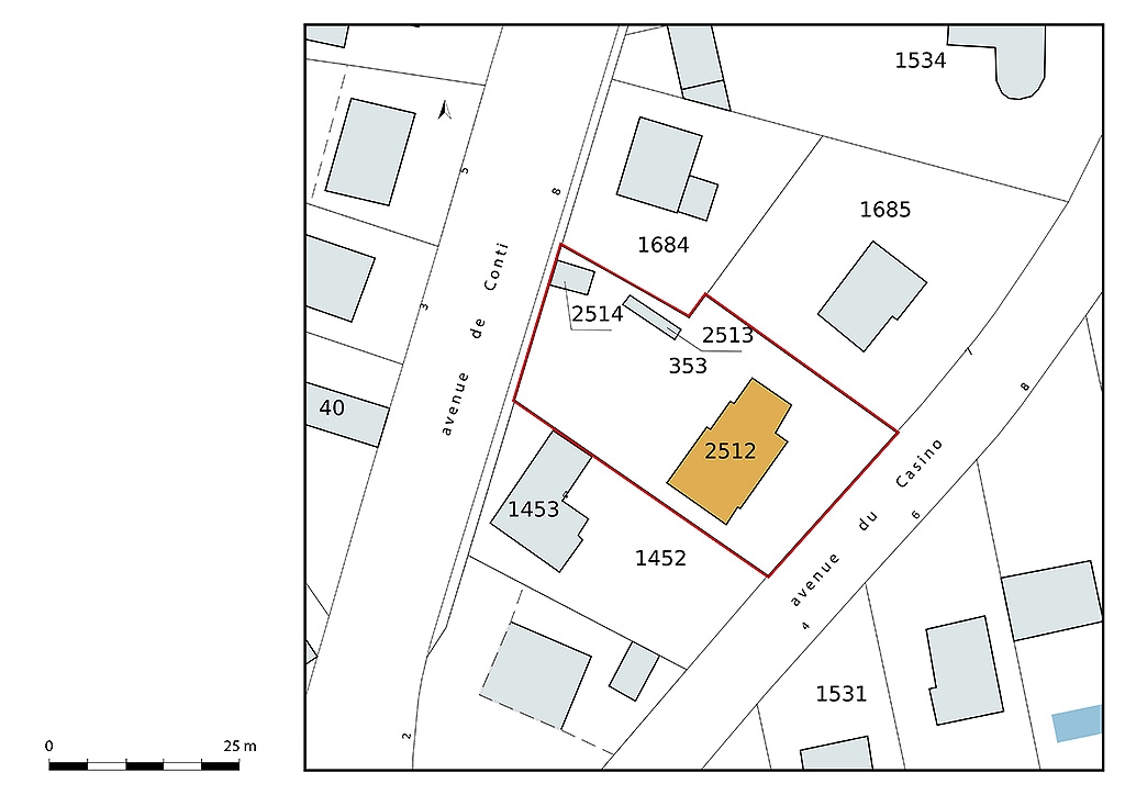 Plan-masse et de situation, extrait du plan cadastral (2021).