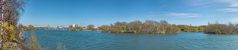 La Saône à Saint-Rémy (71) : les îles de Benne-la-Faux.